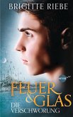 Die Verschwörung / Feuer & Glas Dilogie Bd.2 (eBook, ePUB)