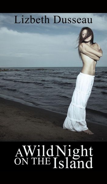 A Wild Night On The Island & Other Stories (eBook, ePUB)