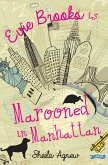 Marooned in Manhattan (eBook, ePUB)