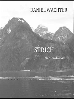 Strich (eBook, ePUB) - Wachter, Daniel