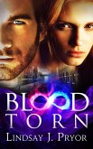 Blood Torn (eBook, ePUB)