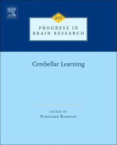 Cerebellar Learning