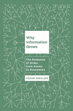 Why Information Grows - Hidalgo, Cesar