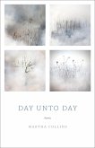 Day Unto Day (eBook, ePUB)