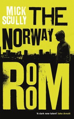 Cover The Norway Room (eBook, ePUB)