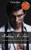 Meeting Mr Hot (eBook, ePUB)