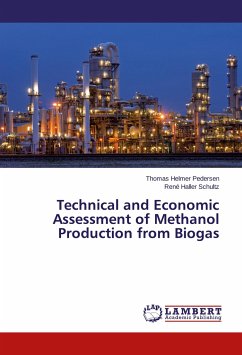 Technical and Economic Assessment of Methanol Production from Biogas