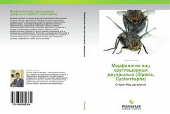 Morfologiq qic krugloshownyh dwukrylyh (Diptera, Cyclorrhapha) - Gaponov, Sergey