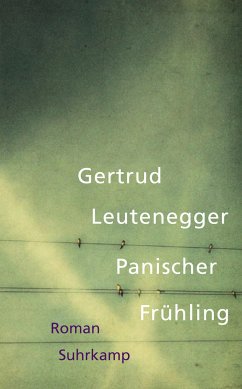 Panischer Frühling (eBook, ePUB) - Leutenegger, Gertrud