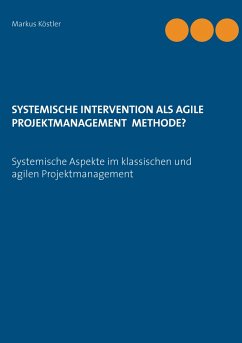 Systemische Intervention als agile Projektmanagement Methode? - Köstler, Markus
