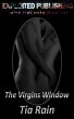 The Virgins Window: (eBook, ePUB) - Bild 1
