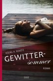 Gewittersommer (eBook, ePUB)