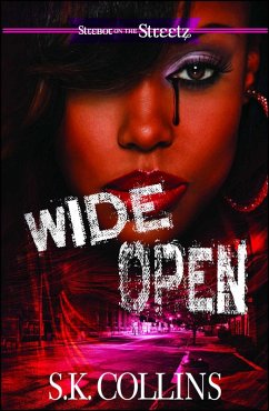 Wide Open (eBook, ePUB) - Collins, S. K.