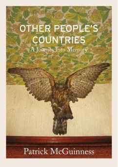 Other People's Countries (eBook, ePUB) - McGuinness, Patrick