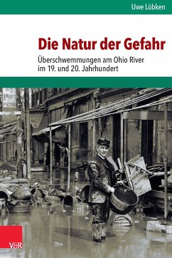 Die Natur der Gefahr (eBook, PDF) - Lübken, Uwe