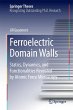 Ferroelectric Domain Walls - Bild 1
