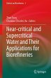 Near-critical and Supercritical Water... - Bild 1
