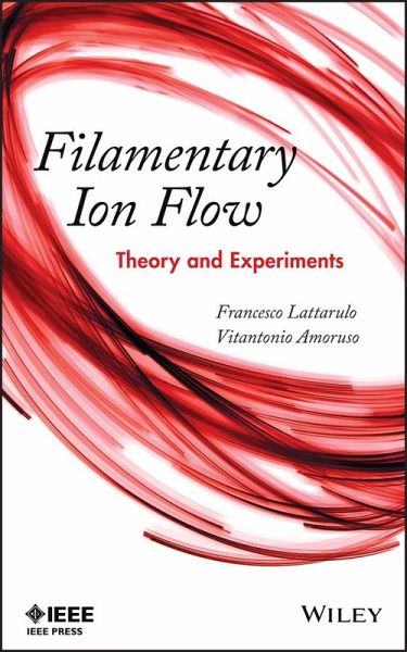 Filamentary Ion Flow (eBook, ePUB)