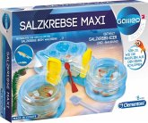 Original Salzkrebse Maxi (Experimentierkasten)