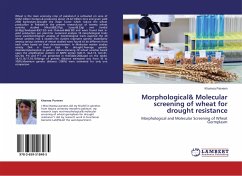 Morphological& Molecular screening of wheat for drought resistance - Parveen, Khamsa