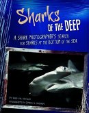 Sharks of the Deep: A Shark Photographer's Search for Sharks at the Bottom of the Sea