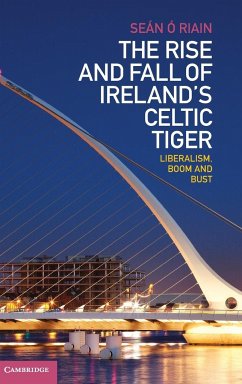 The Rise and Fall of Ireland's Celtic Tiger - Ó Riain, Seán