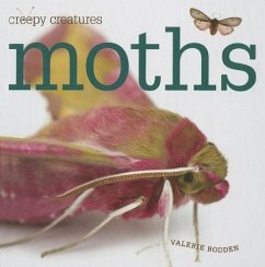 Moths - Bodden, Valerie