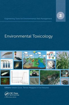 Engineering Tools for Environmental Risk Management