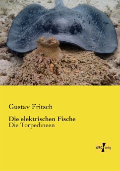 Die elektrischen Fische - Fritsch, Gustav