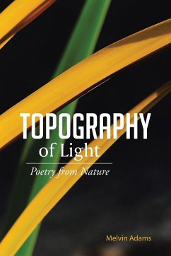 Topography of Light - Adams, Melvin