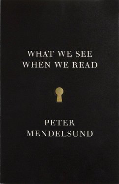 What We See When We Read - Mendelsund, Peter