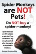 Spider Monkeys Are Not Pets! Do Not Buy... - Bild 1