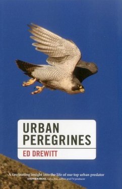 Urban Peregrines - Drewitt, Ed