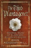 The Third Plantagenet (eBook, ePUB)