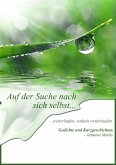 Auf der Suche nach sich selbst weiterlaufen, einfach weiterlaufen (eBook, ePUB)