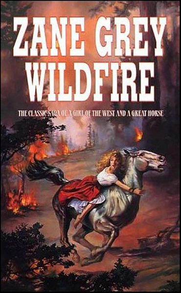 Wildfire (eBook, ePUB) Wildfire (eBook, ePUB)