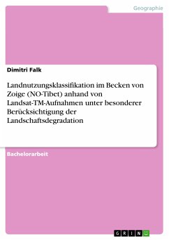 Landnutzungsklassifikation im Becken von Zoige (NO-Tibet) anhand von Landsat-TM-Aufnahmen unter besonderer Berücksichtigung der Landschaftsdegradation (eBook, PDF) - Falk, Dimitri