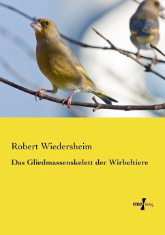 Das Gliedmassenskelett der Wirbeltiere - Wiedersheim, Robert