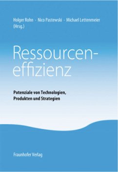 Ressourceneffizienz - Rohn, Holger;Pastewski, Nico;Lettenmeier, Michael