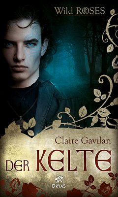 Der Kelte (eBook, ePUB) - Gavilan, Claire