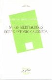 Nueve meditaciones sobre Antonio Gamoneda