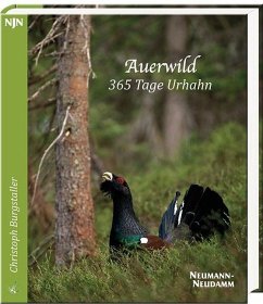 Auerwild - 365 Tage Urhahn - Burgstaller, Christoph