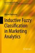 Inductive Fuzzy Classification in... - Bild 1