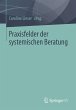 Praxisfelder der systemischen Beratung - Bild 1