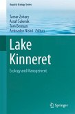 Lake Kinneret