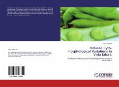 Induced Cyto-morphological Variations in Vicia faba L