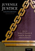 Juvenile Justice Sourcebook (eBook, PDF)