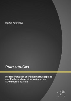 Power-to-Gas: Modellierung der Energieverwertungspfade und Einflussnahme einer veränderten Strommarktsituation - Kirchmayr, Martin