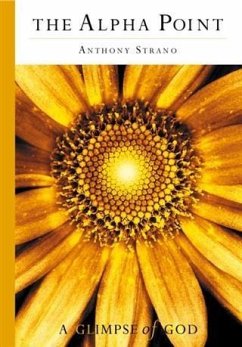 Cover Alpha Point (eBook, ePUB)