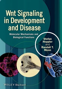 Wnt Signaling in Development and Disease (eBook, PDF) - Hoppler, Stefan P.; Moon, Randall T.